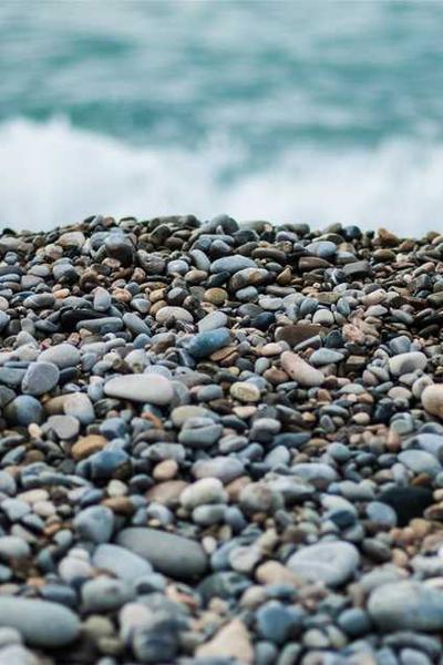 Best Illinois LLC Formation Services