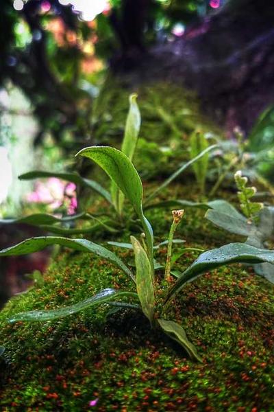 How to Start an LLC in Indiana