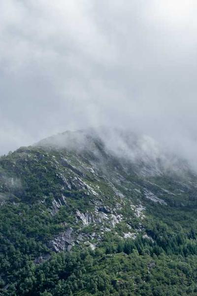 Best Tennessee LLC Formation Services