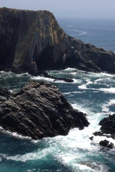 How to Start an LLC in Nevada