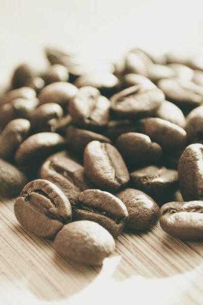 How to Start an LLC in South Carolina