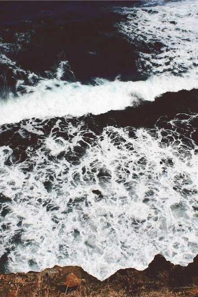 Best West Virginia LLC Formation Services