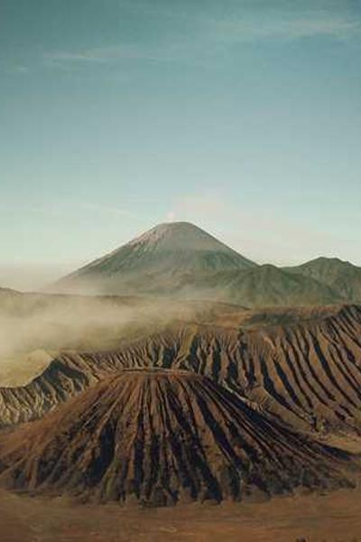 Best New Mexico LLC Formation Services