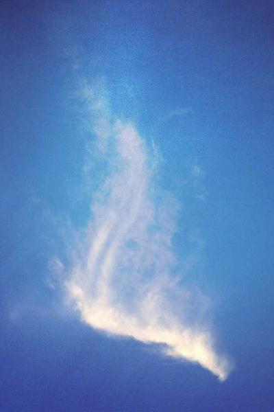 How to Start an LLC in Louisiana