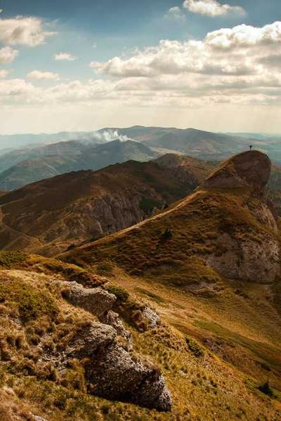 ZenBusiness LLC Service Review