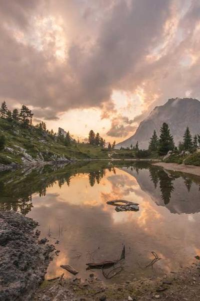 How to Start an LLC in Illinois