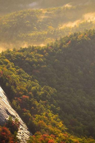 Best Kentucky LLC Formation Services