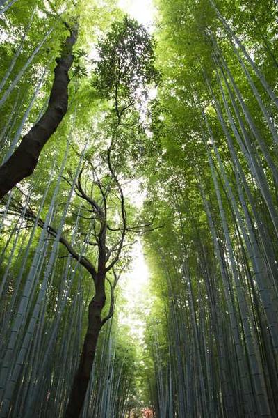 How to Start an LLC in Alaska