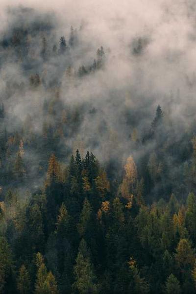 Best Ohio LLC Formation Services