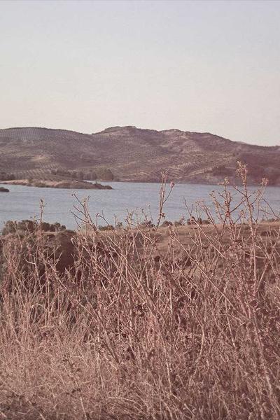 Best Rhode Island LLC Formation Services