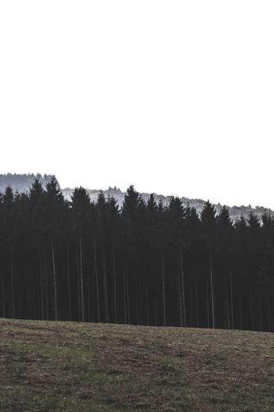 How to Start an LLC in Florida