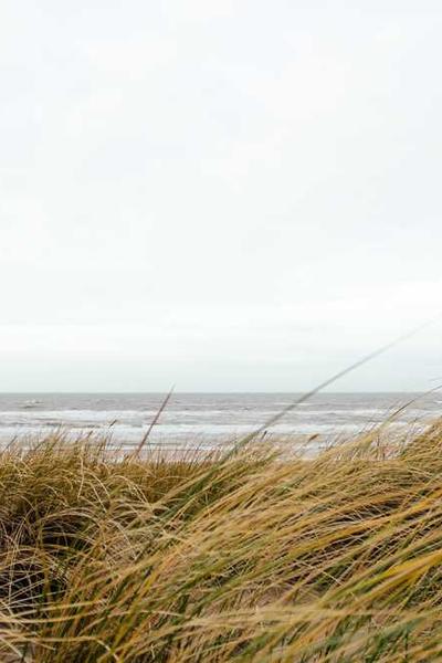 Best New York LLC Formation Services