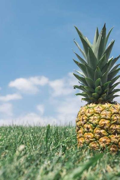 Best Louisiana LLC Formation Services