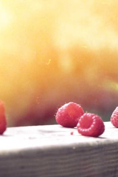 Best Nebraska LLC Formation Services