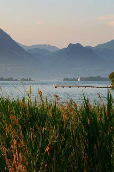 How to Start an LLC in Arkansas